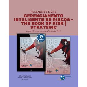 Release do livro Gerenciamento Inteligente de Riscos - The Book of Risk | Strategic