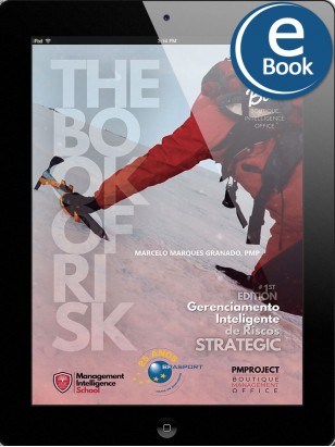 eBook: Gerenciamento Inteligente de Riscos - The Book of Risk | Strategic
