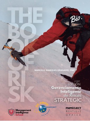 Gerenciamento Inteligente de Riscos - The Book of Risk | Strategic