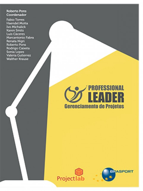 Professional Leader: gerenciamento de projetos